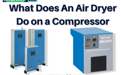 What Does An Air Dryer Do On A Compressor?