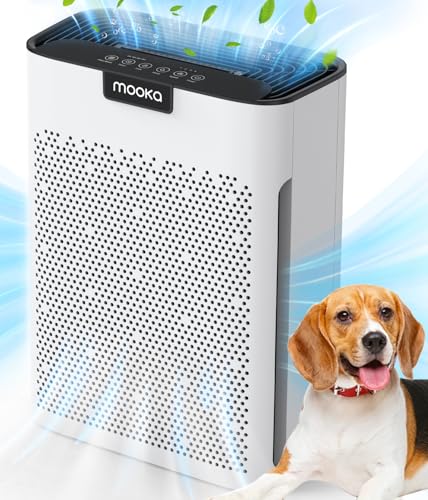 Best Air Purifier With Reusable Filter