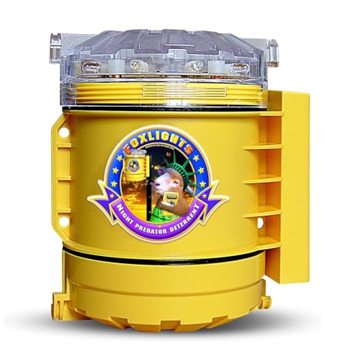 Best Car Tire for Elk Grove City