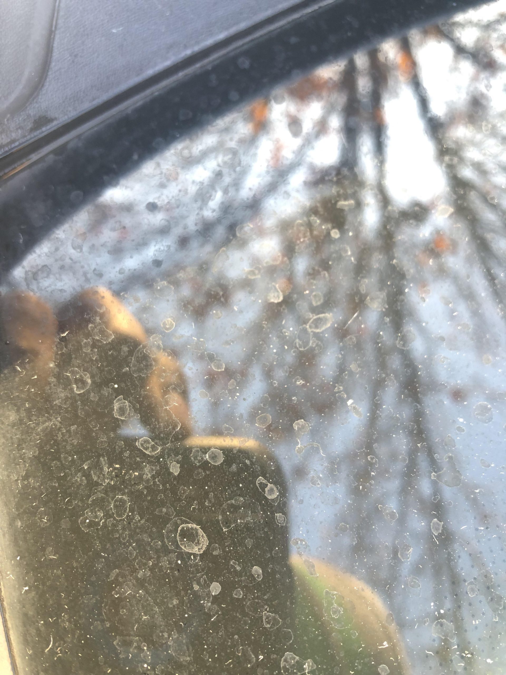 How to Remove Car Glass Water Spots