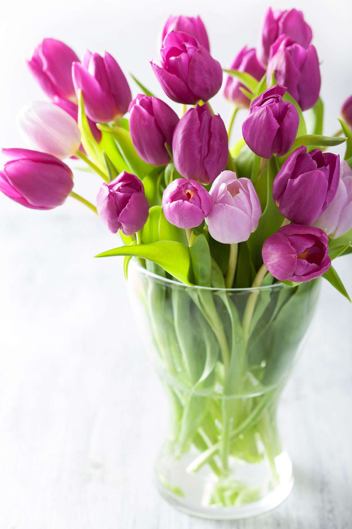 How to Take Care of Tulips in a Glass Vase